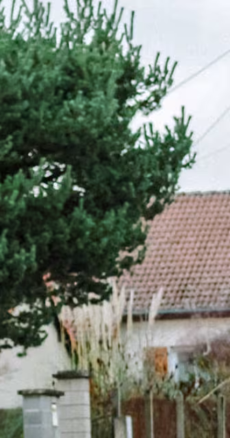 Site_1600x576