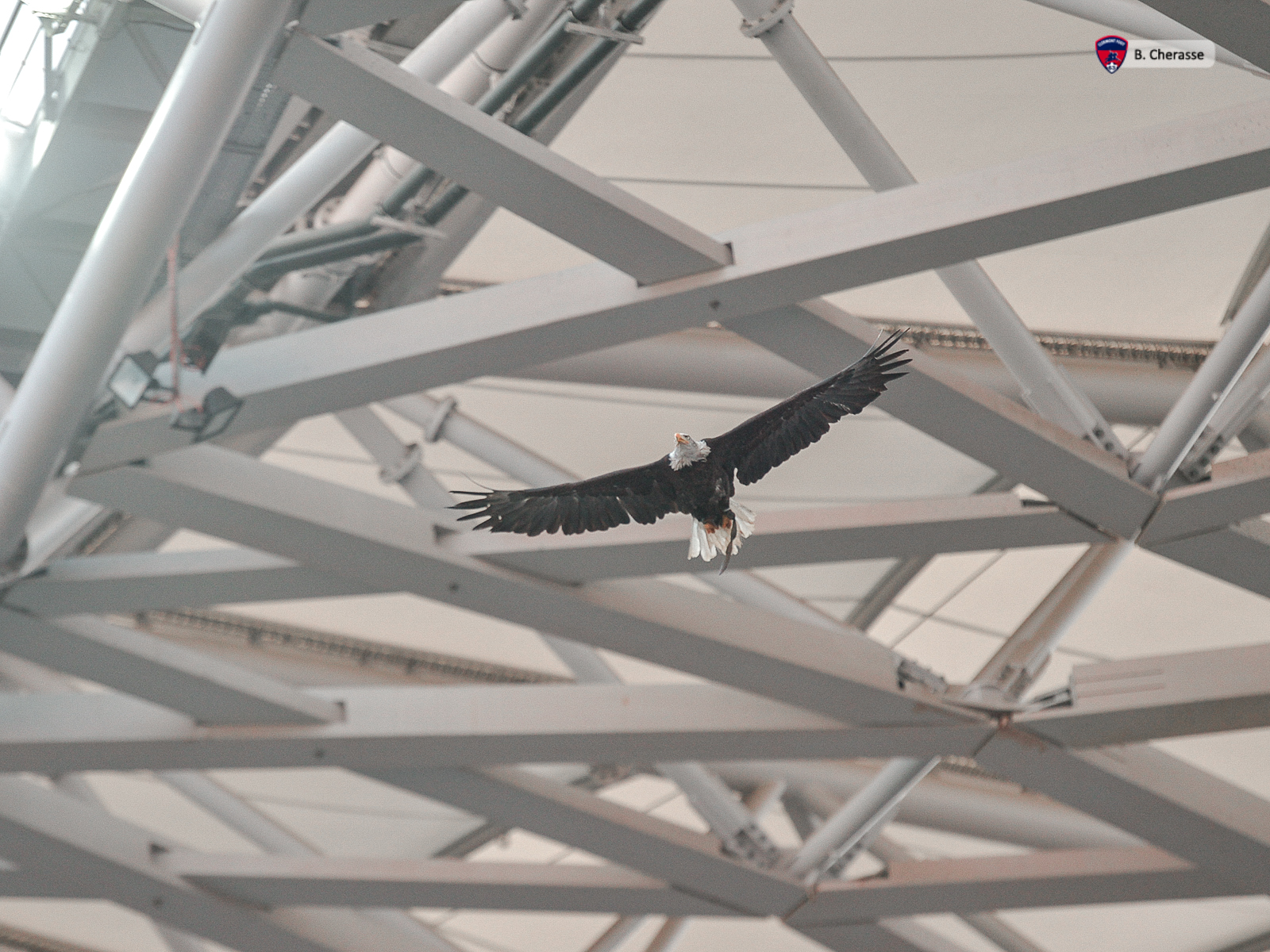 Nice – Clermont : l’album photos