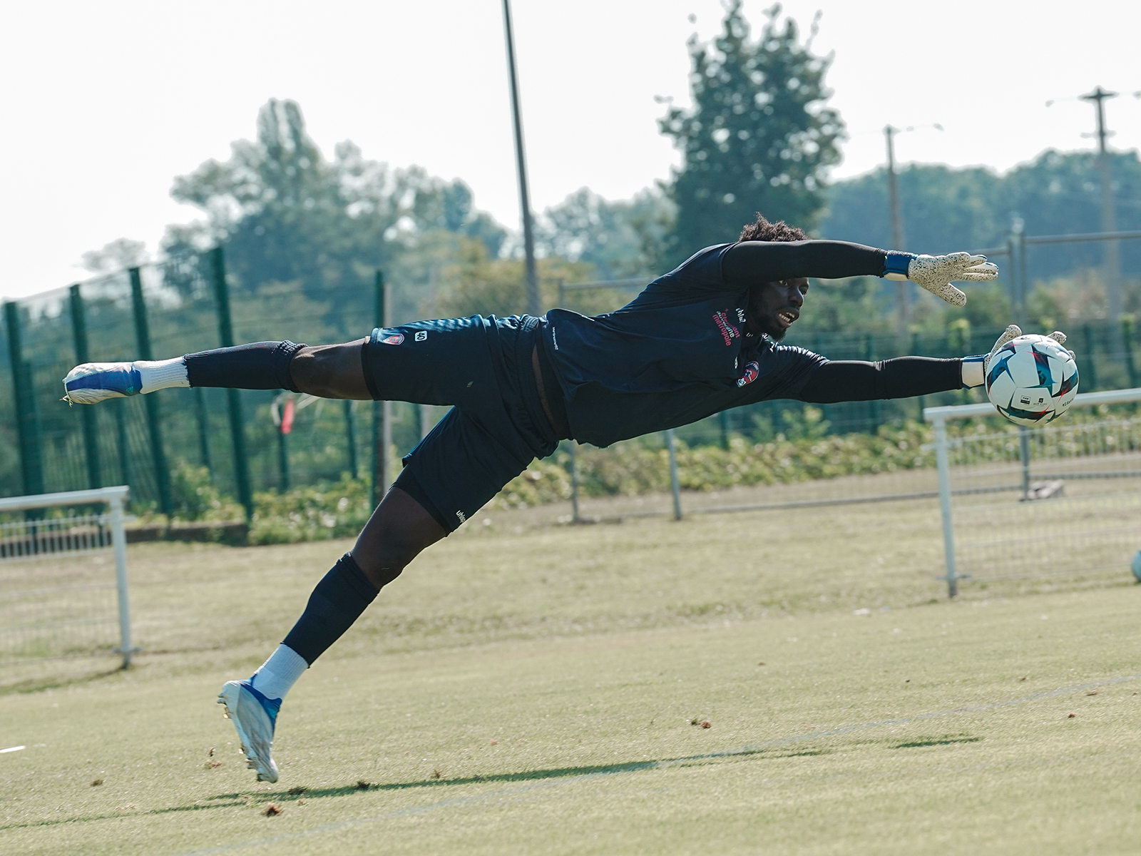 La séance du mardi en images