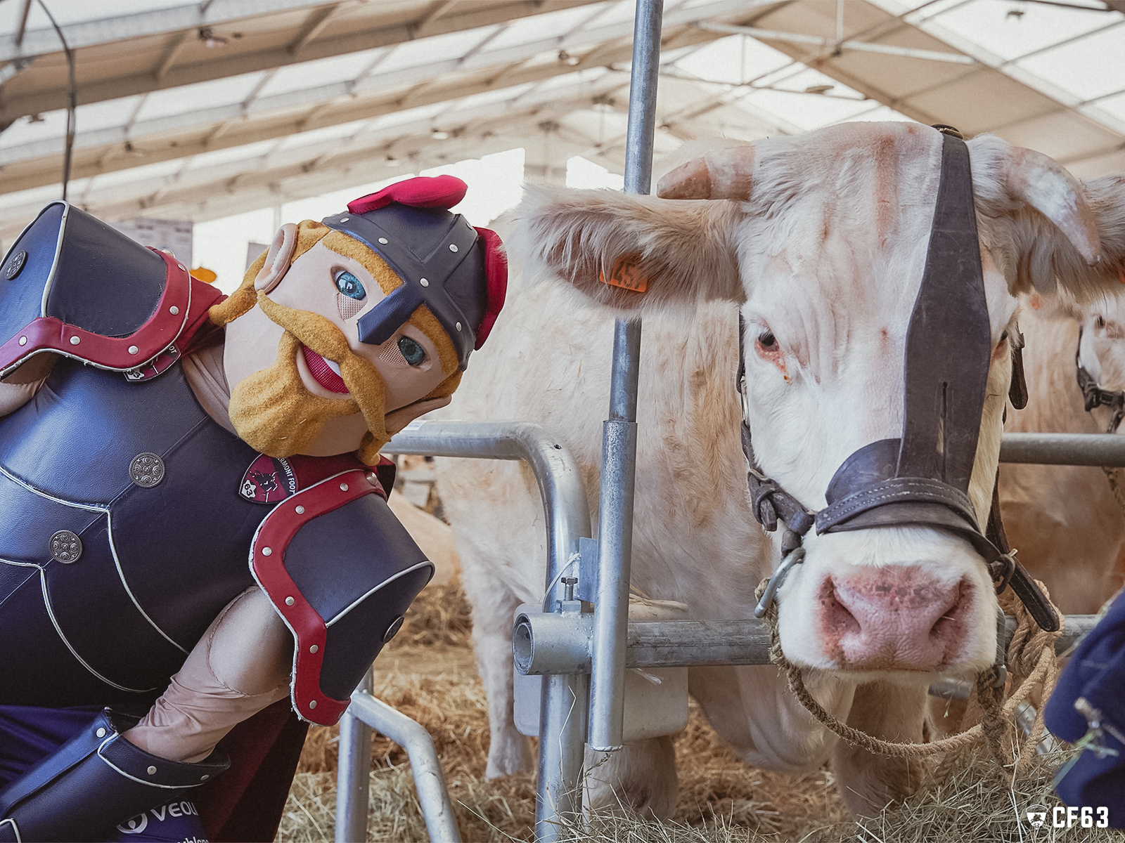 Torix, Allevinah et Caufriez en visite au Sommet de l&rsquo;Élevage