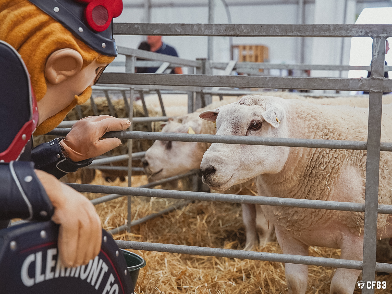 Torix, Allevinah et Caufriez en visite au Sommet de l&rsquo;Élevage