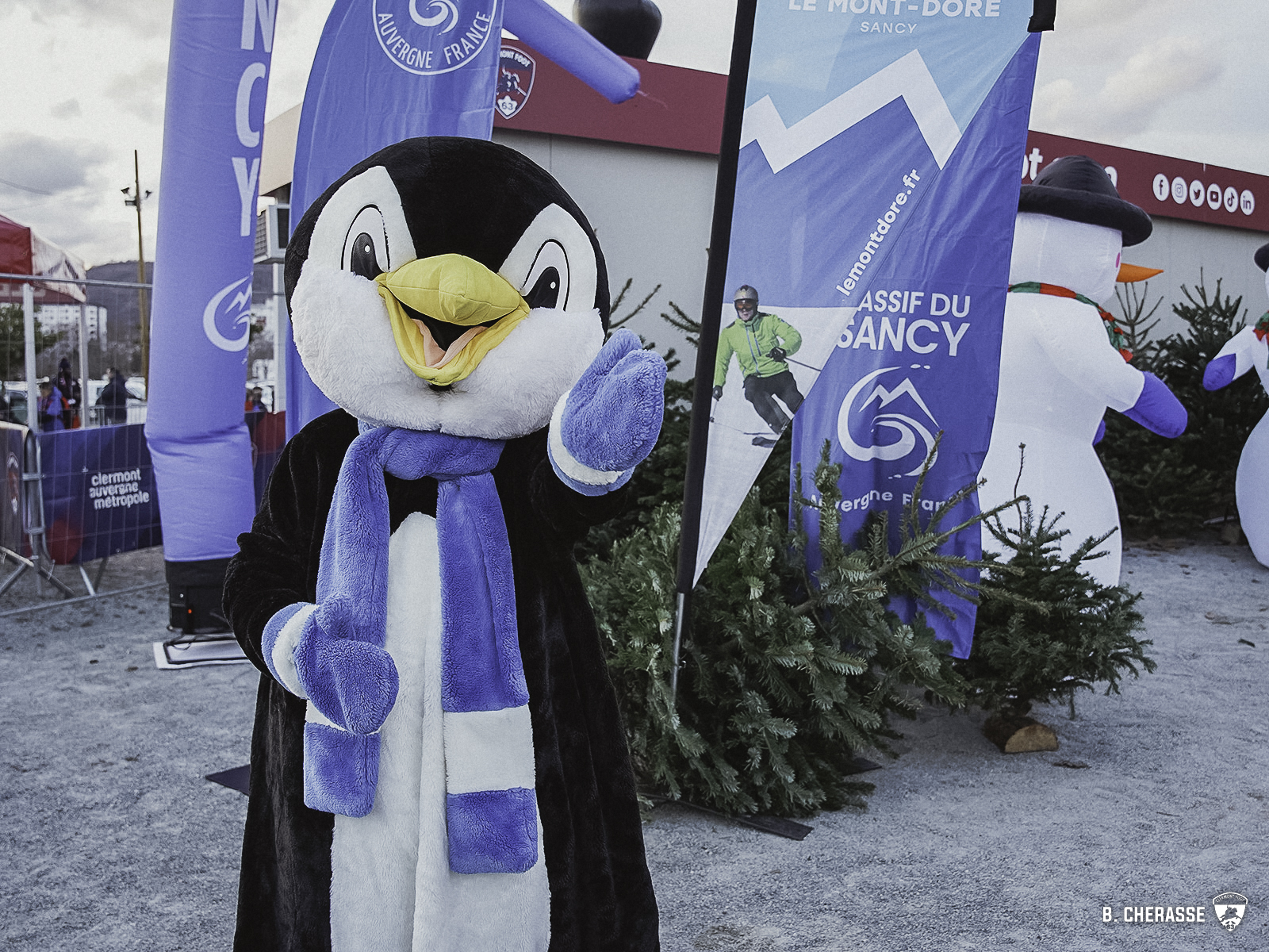 Clermont – Lille : L’album photos