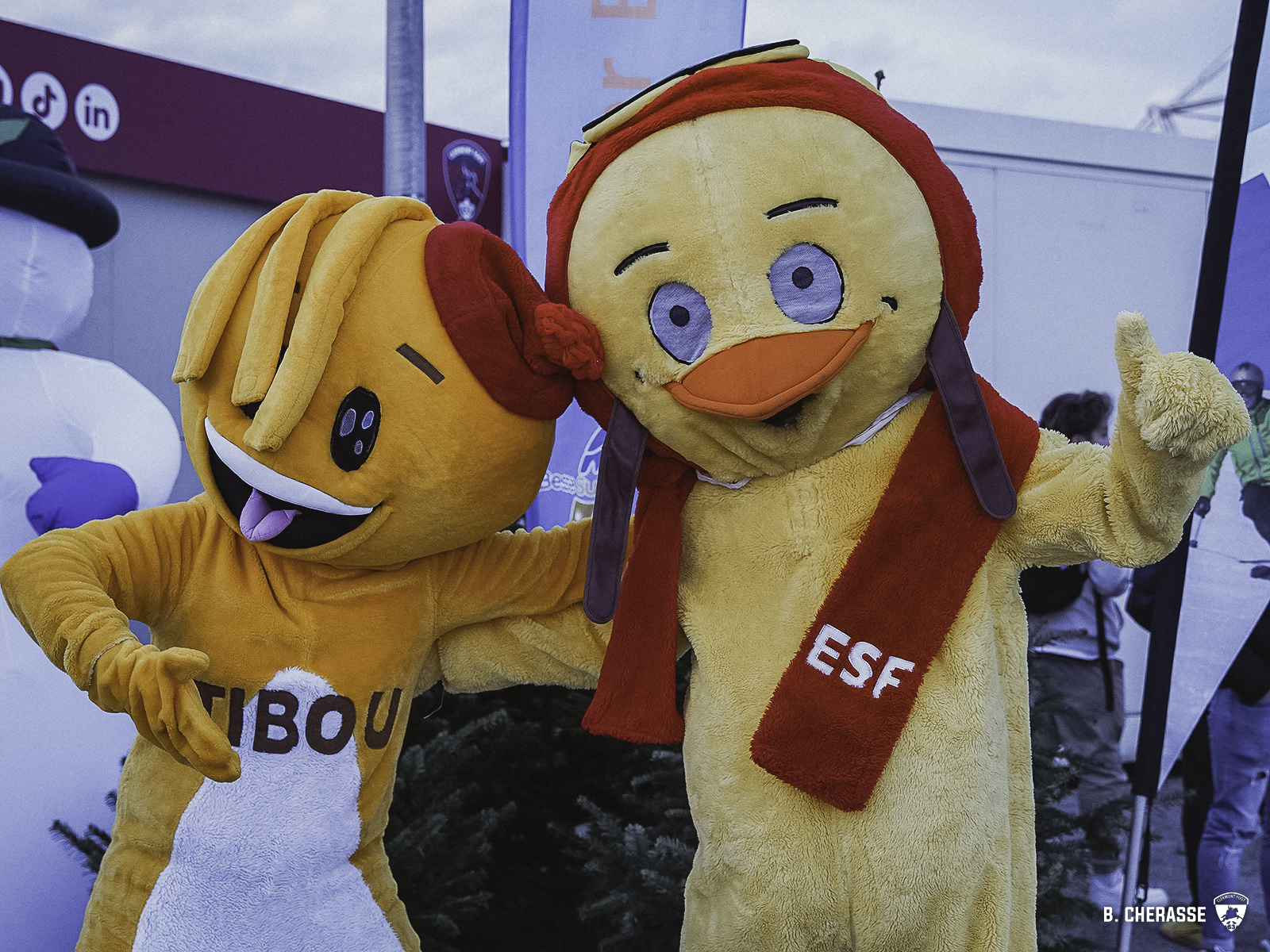 Clermont – Lille : L’album photos