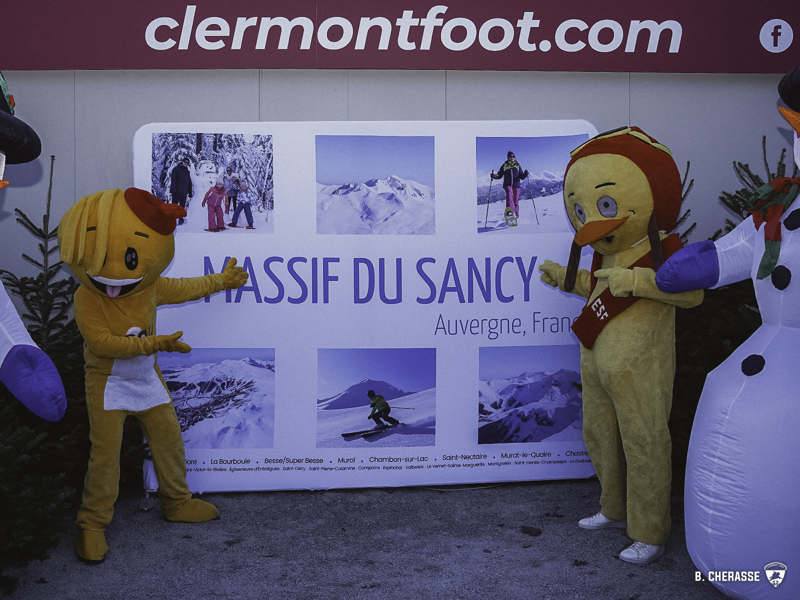 Clermont – Lille : L’album photos