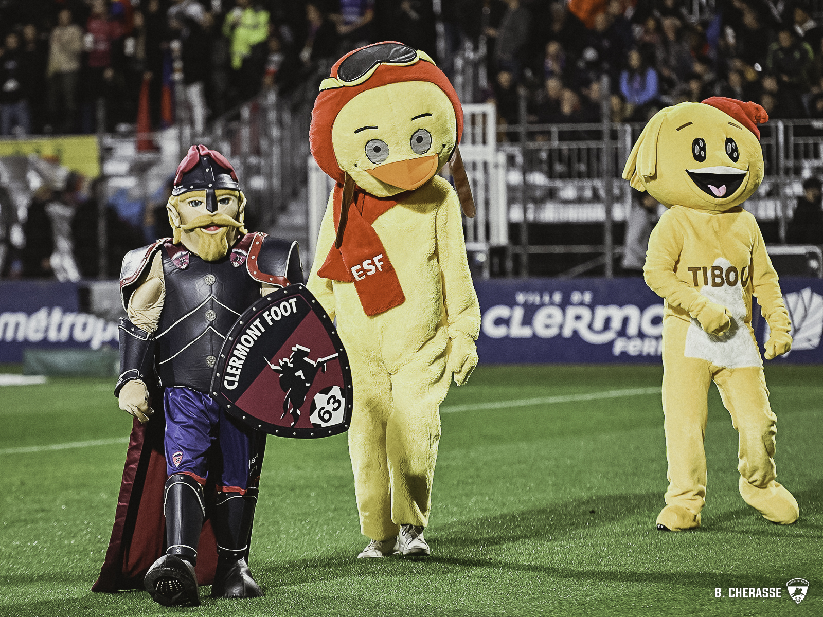 Clermont – Lille : L’album photos