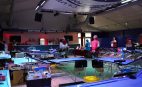 Collecte de sang au stade Gabriel-Montpied : 411 vies sauvées !