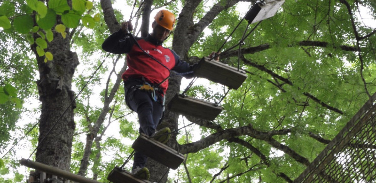 Sortie accrobranches : le clip !